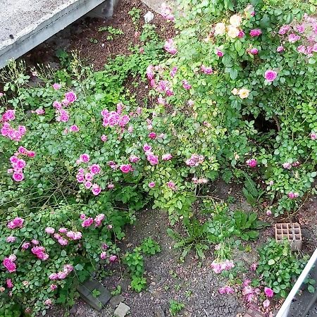 Mija Daire Saraybosna Dış mekan fotoğraf